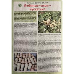 1000 советов дачнику №11 ноябрь 2024