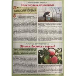 1000 советов дачнику №11 ноябрь 2024