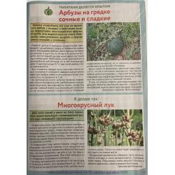 1000 советов дачнику №11 ноябрь 2024