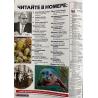 Наша история №3 март 2026
